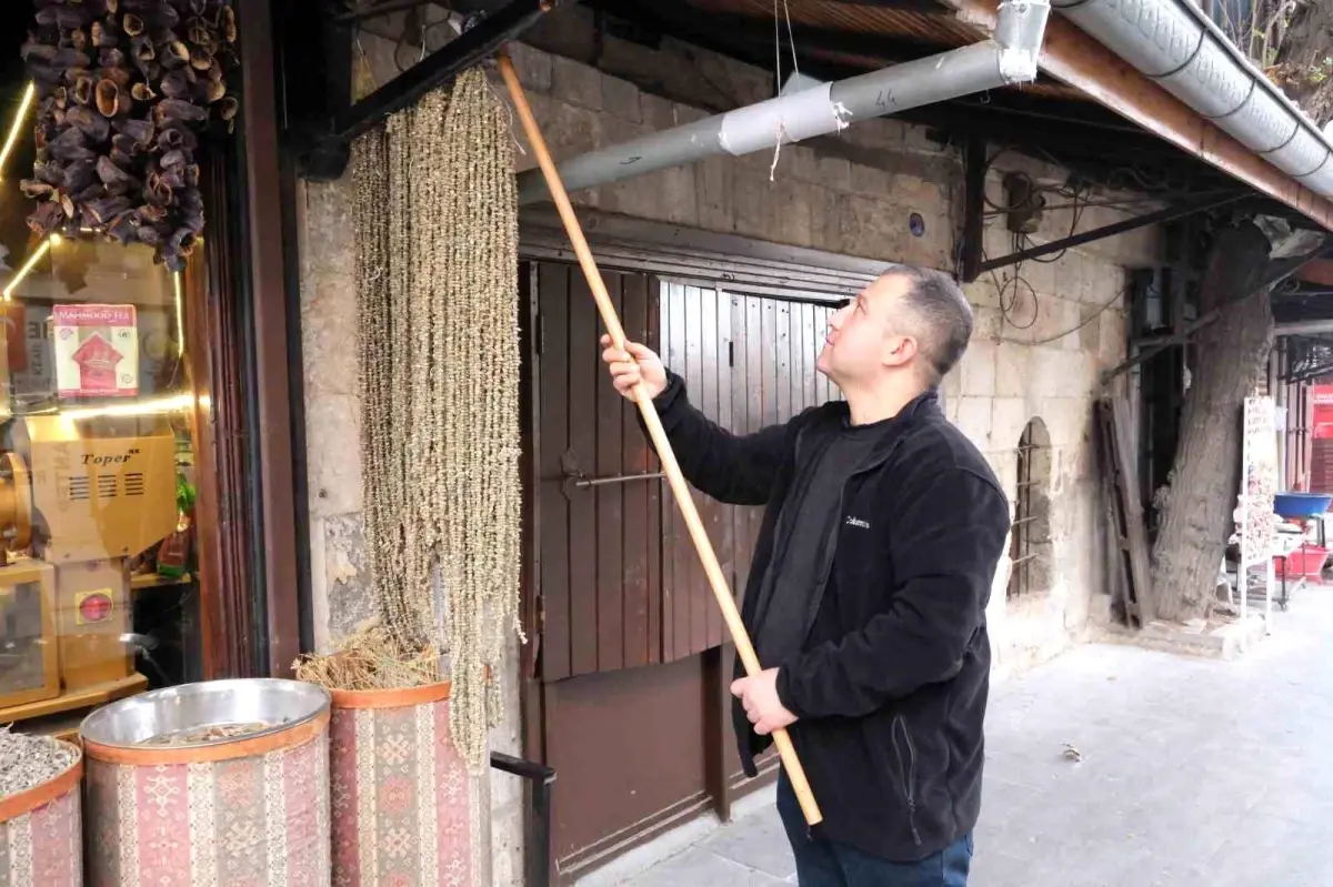 Gaziantep'te Kuru Bamyanın Kilosu 2 Bin TL'ye Çıktı: Hem Lezzet Hem Sağlık