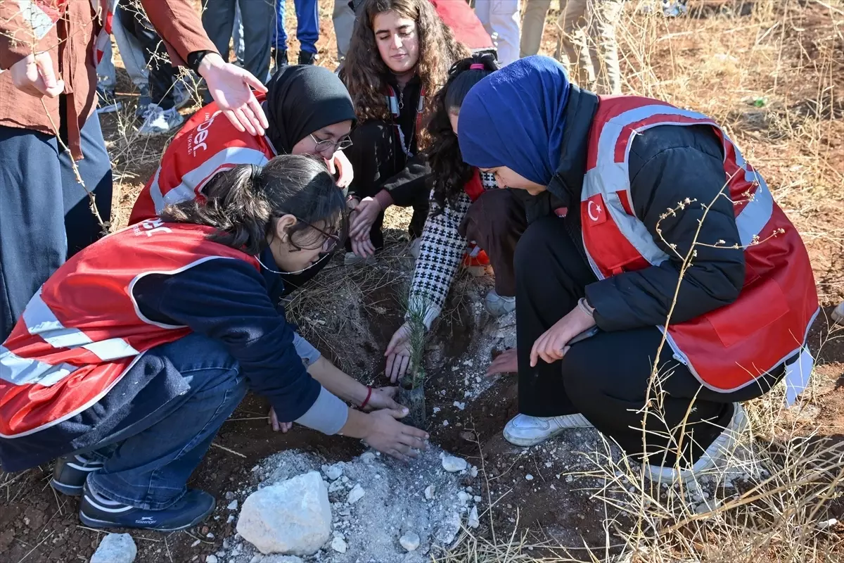 Gaziantep'te ÖNDER Derneği Tarafından Gazze İçin 120 Fidan Dikildi