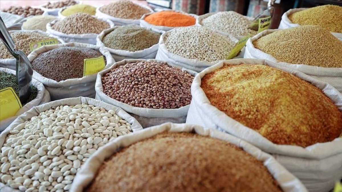 Güneydoğu Anadolu Bölgesi'nin 10 Aylık Hububat İhracatı 2,9 Milyar Doları Aştı