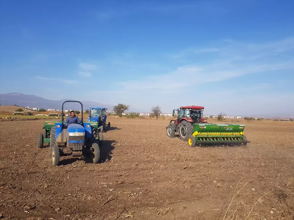 İslahiye Ovası'nda 2024 Buğday Ekimi Başladı ve Üretimde Umutlar Yükseliyor