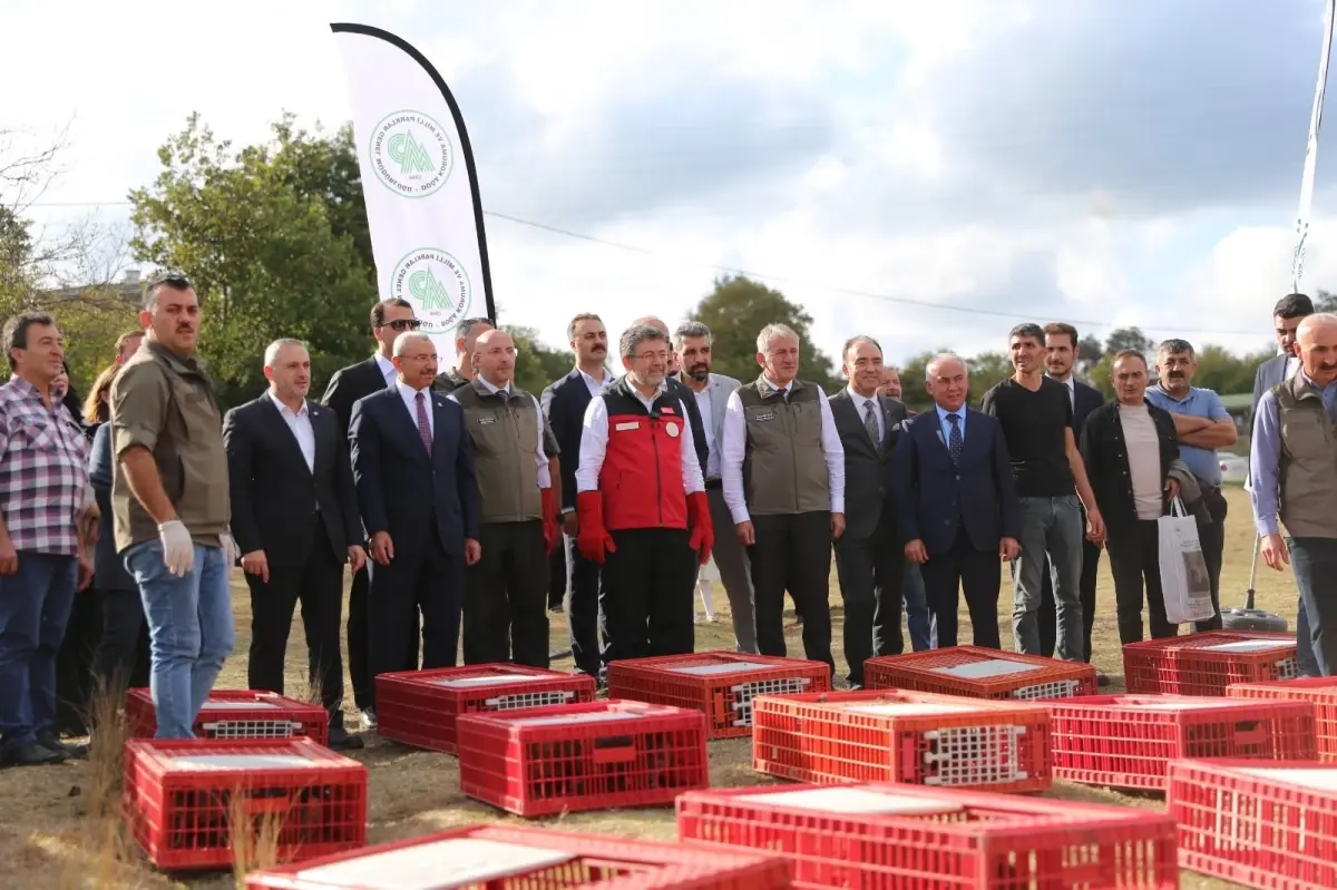 Kene ve Kahverengi Kokarca Zararlısına Karşı Doğaya 45 Bin Kanatlı Yaban Hayvanı Salındı