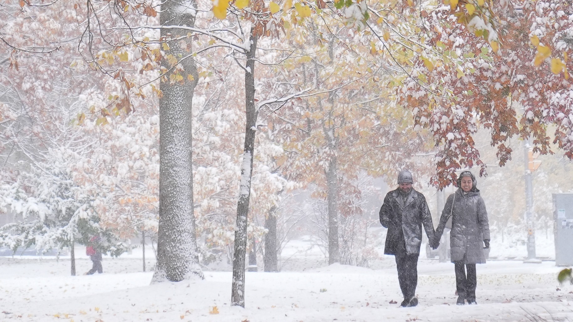 Meteoroloji'den Kritik Uyarılar: Kar, Yağmur ve Sis Kapımızda