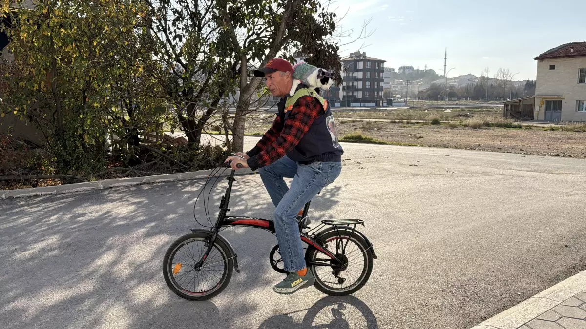 Mustafa Rahmi Erçetin ve Kedisi Sylvia ile 65 Şehirlik Efsanevi Yolculuk