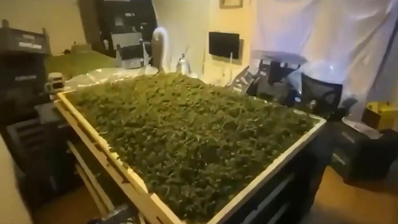 65 ilde uyuşturucu operasyonu: Bakan Yerlikaya paylaştı! 768 gözaltı