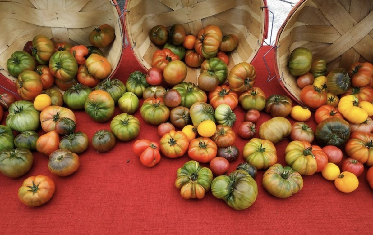 BM Yetkililerinden Su ve Gıda İsrafına Karşı Küresel İş Birliği Çağrısı
