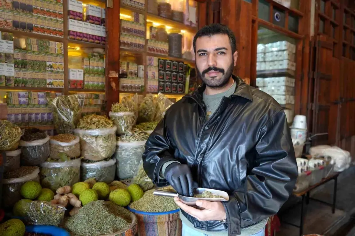 Doğu Anadolu'nun Kış Şifası: Zahter Çayının Faydaları ve Kullanımı