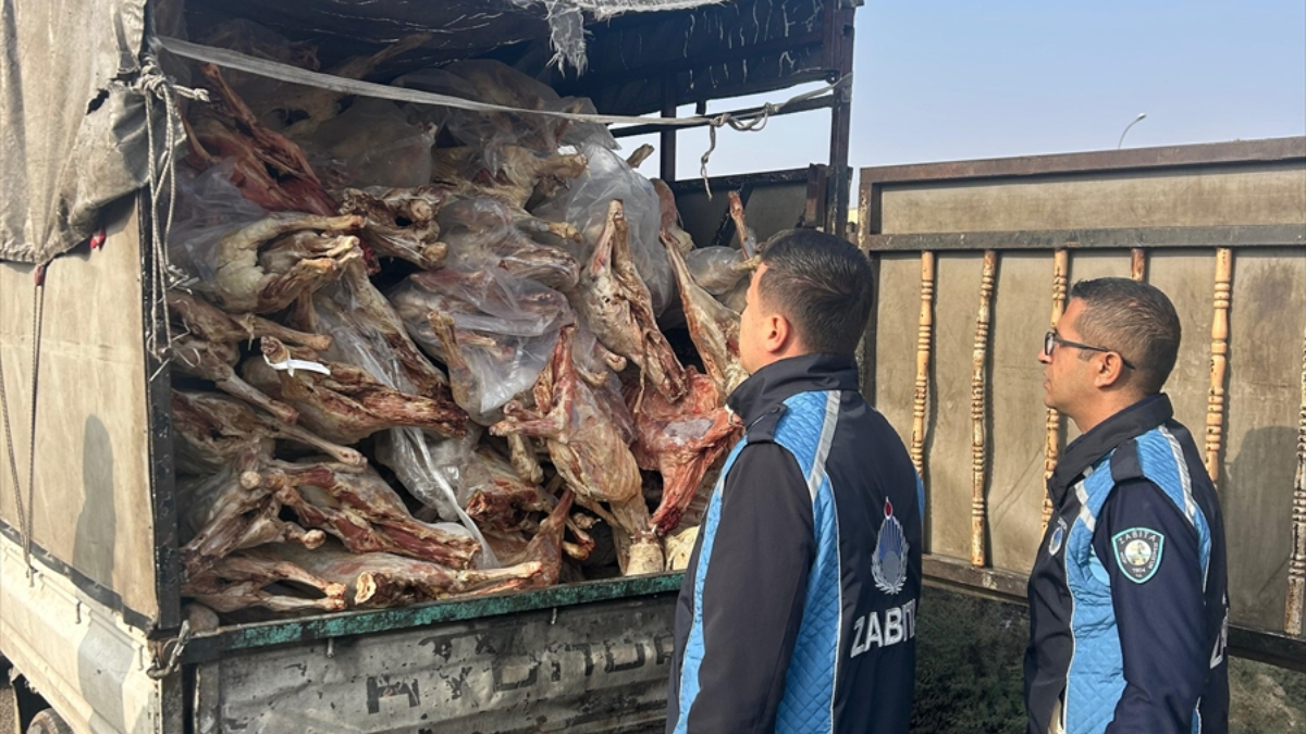 Gaziantep Nizip'te 1,9 Ton Bozulmuş Et Ele Geçirildi ve İmha Edildi