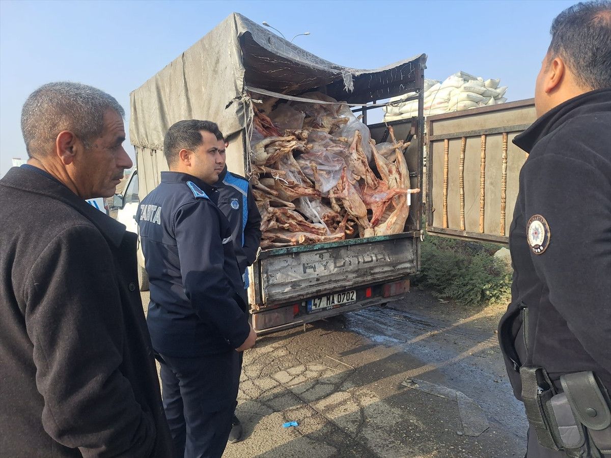 Gaziantep Nizip'te 1,9 Ton Bozulmuş Et Ele Geçirildi ve İmha Edildi