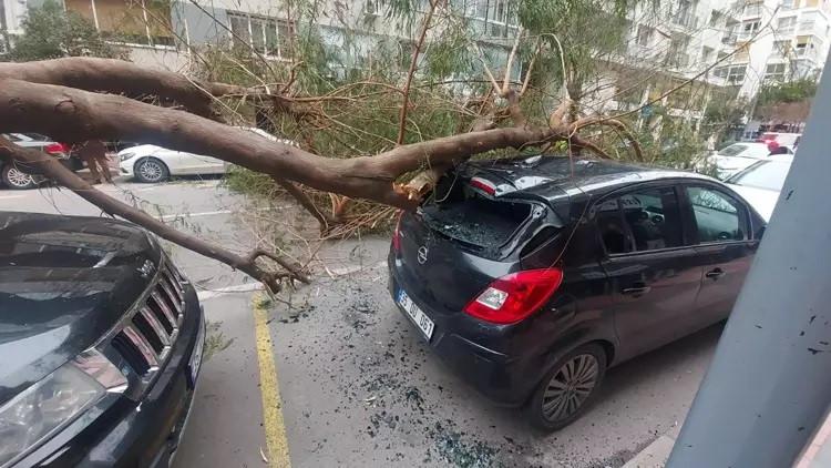 İstanbul yeni yıla dondurucu soğukla giriyor! Meteoroloji uzmanları uyardı: Son 54 yılın..