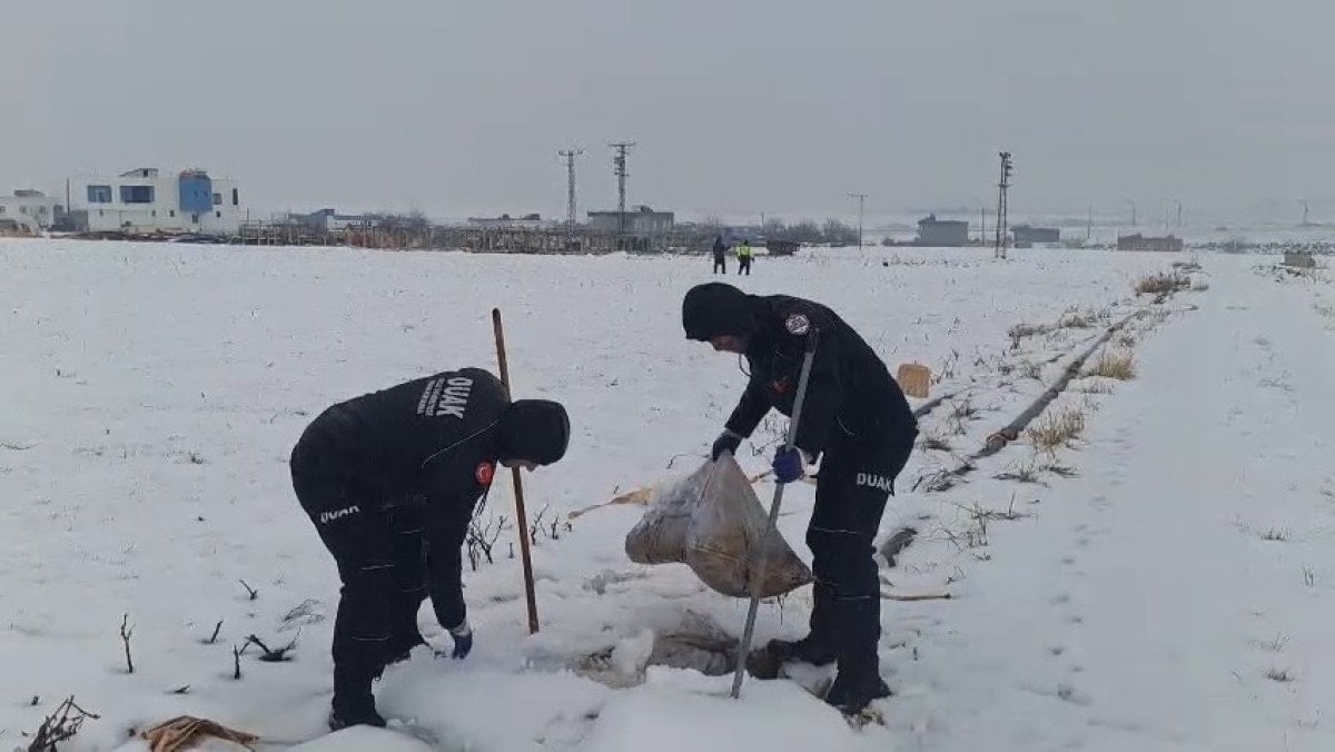 Diyarbakır Çınar’da Kayıp Zihinsel Engelli Kadın Nimet Kılıç İçin 7 Gündür Arama Çalışmaları Sürüyor