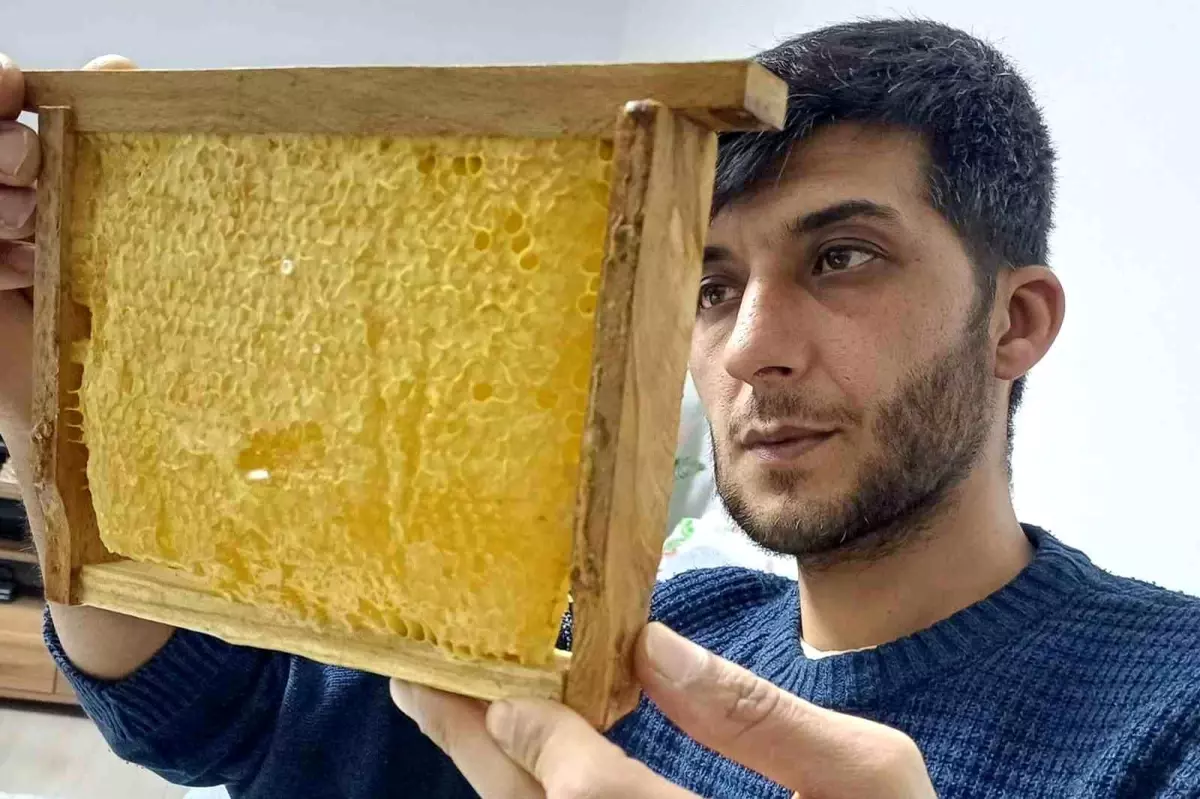 Gaziantep Araban'da Doğal ve Organik Bal Üretimine Yoğun Talep