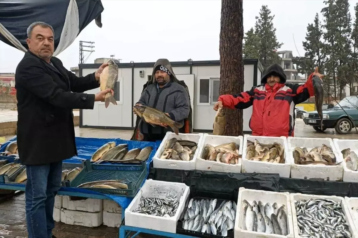 Gaziantep Araban'da Fırat Nehri Balıklarına Yoğun İlgi