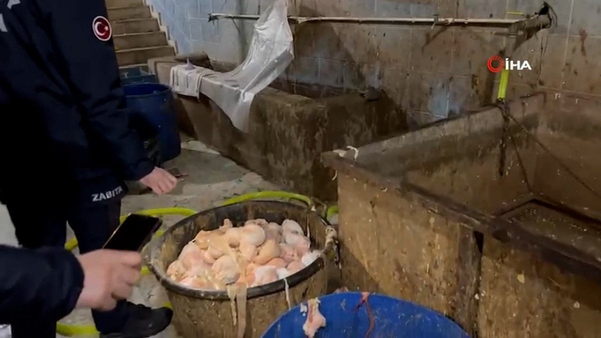 Gaziantep'te 1300 Kilo Sağlıksız Sakatat Yakalandı ve İmha Edildi