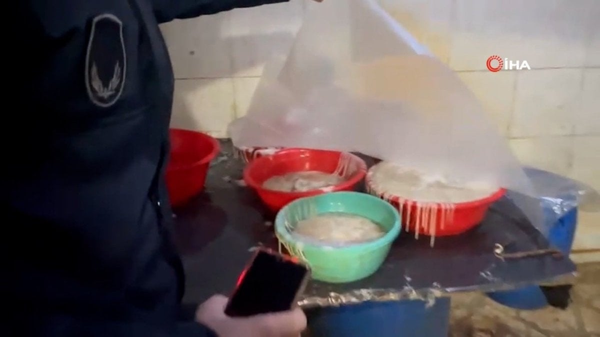 Gaziantep'te 1300 Kilo Sağlıksız Sakatat Yakalandı ve İmha Edildi