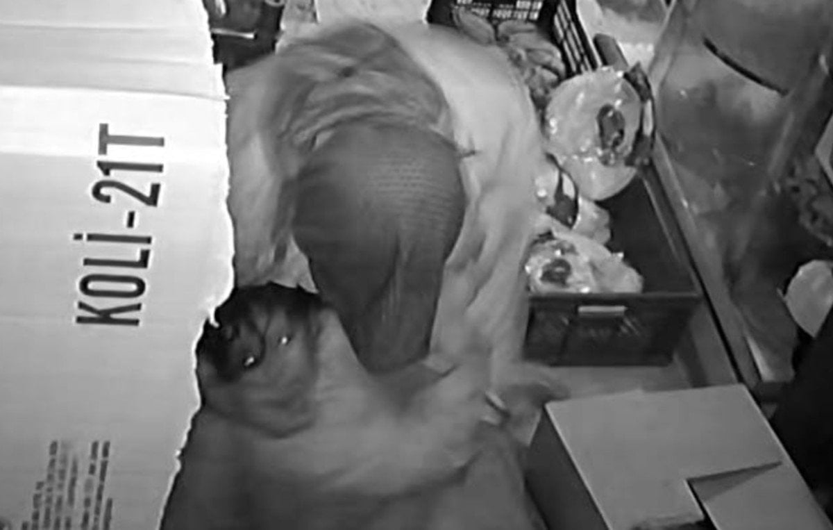 Gaziantep'te Akli Dengesi Bozuk Şüpheli Küçük Kızı Bıçaklayarak Yaraladı