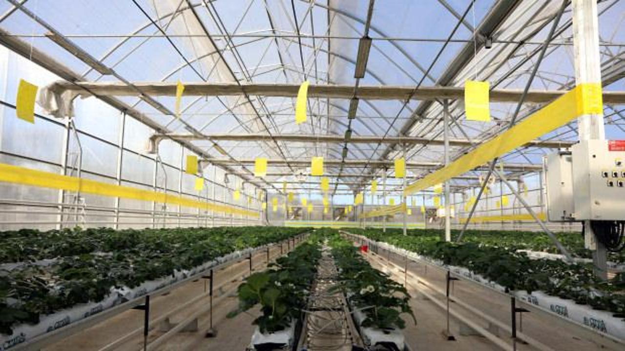 Gaziantep'te Atıklardan Elektrik Üreten Mekanik Biyolojik Ayrıştırma Tesisi