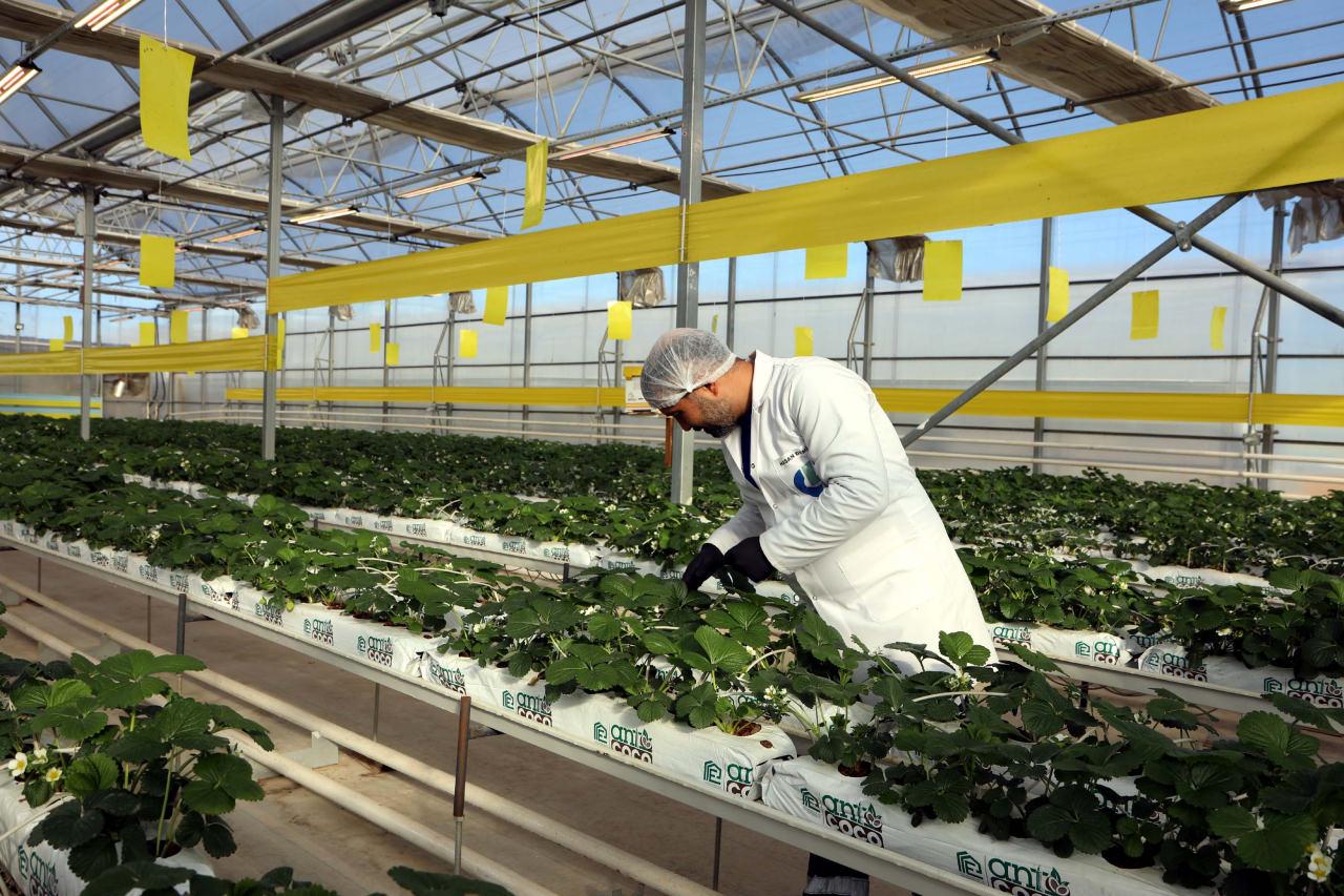 Gaziantep'te Atıklardan Elektrik Üreten Mekanik Biyolojik Ayrıştırma Tesisi