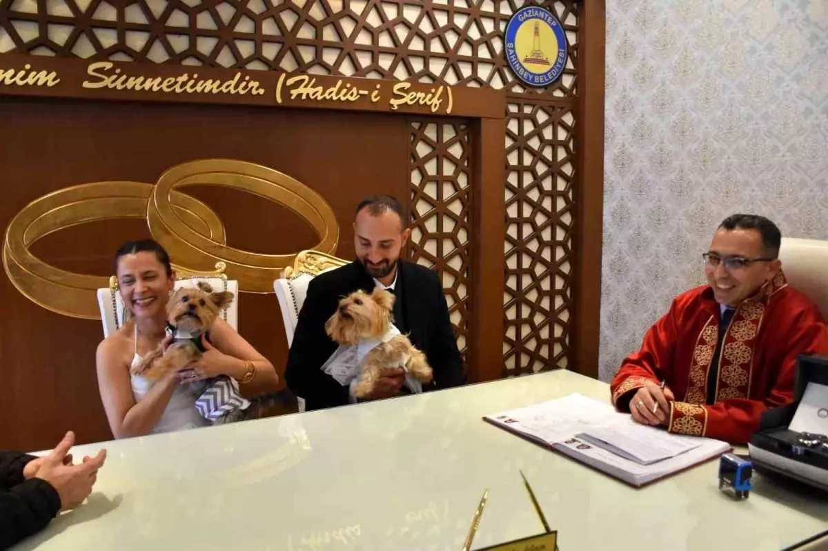 Gaziantep'te Evlenen Çift Köpekleriyle Unutulmaz Nikah Töreni Düzenledi