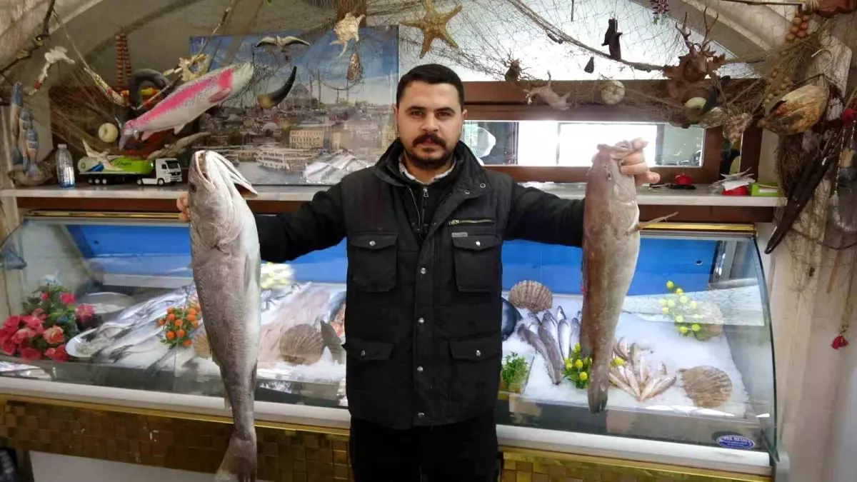 Gaziantep'te Kış Mevsiminde Balığın Yükselen Popülaritesi