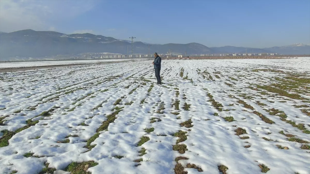 İslahiye'de Kar Yağışı Çiftçileri Sevindirdi