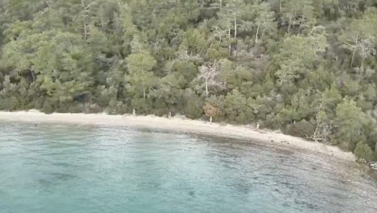 26 ilde kaçak göçmen operasyonu: 59 organizatör tutuklandı