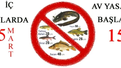 Balık Yasağı - Balık Yasağı Delindi: 2 Kişi Yakalandı
