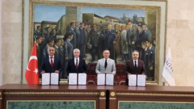 çiftçi fide desteği - Çiftçi Fide Desteği: Çiftçiye 5 Milyon Fidanda Destek