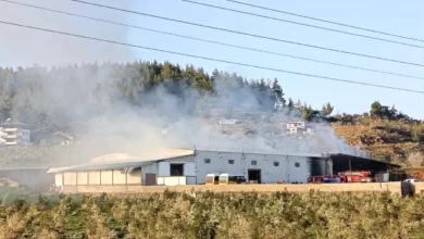 Gaziantep Biber Yangını - Değirmencik'te Korkutan Gaziantep Biber Yangını