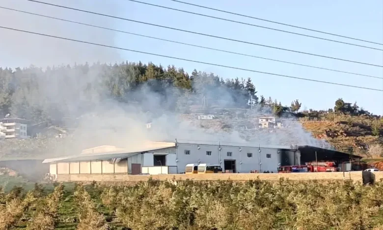 Gaziantep Biber Yangını - Değirmencik'te Korkutan Gaziantep Biber Yangını