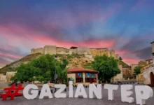 Gaziantep araç yükü - Gaziantep Araç Yükü: Nereye Kadar?