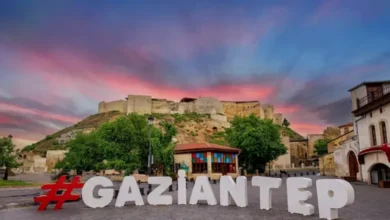 Gaziantep araç yükü - Gaziantep Araç Yükü: Nereye Kadar?