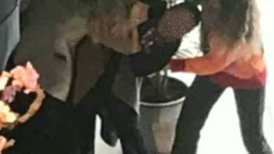 kavga olayı - Gaziantep kavgası: Araç dehşeti!