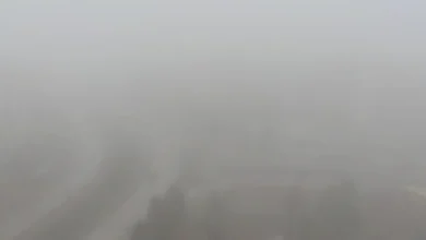 Gaziantep sis - Gaziantep Sis: Görüş Engellendi, Trafik Yavaşladı