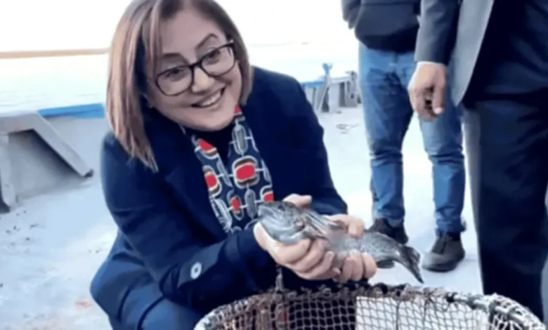 Gaziantep somon ihracatı - Gaziantep Somon Ihracatı: Gaziantep Somon İhracatı ile Dü...