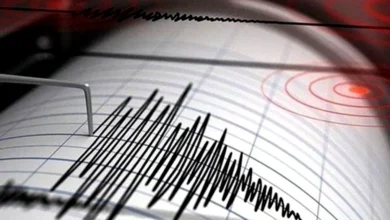 Gaziantep deprem - Gaziantep'te Deprem Paniği: 4.7 Sarsıntısı Hissedildi