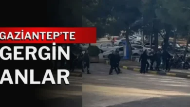 hayvanat bahçesi gerginliği - Hayvanat Bahçesi: Gergin Anların Perde Arkası