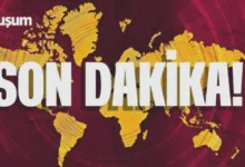 Meryem'in ölümü - Meryem'in Ölümü: Kaza mı İntihar mı?