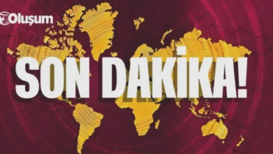 Meryem'in ölümü - Meryem'in Ölümü: Kaza mı İntihar mı?