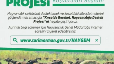 hayvancılığa destek - Şahinbey'de Hayvancılığa Nefes