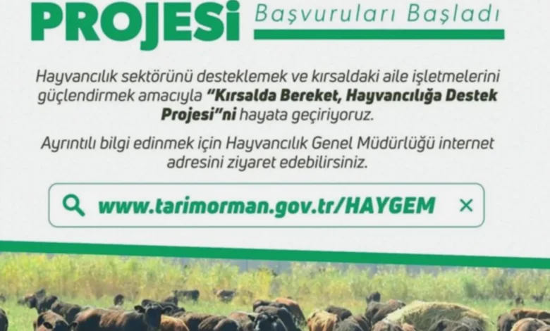 hayvancılığa destek - Şahinbey'de Hayvancılığa Nefes