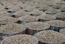 bayram antep fıstığı - Bayramın Tadı Fıstıkta: Gaziantep Hazır