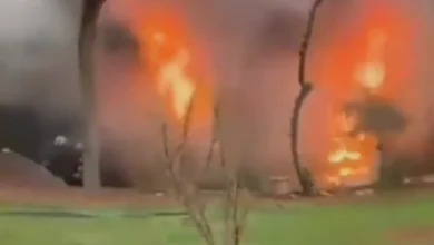 cami yangını kedi kurtuluşu - Cami Yangınında Kedi Kurtuluşu: Gaziantep Panikledi