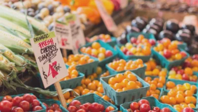 fahiş fiyat - Fahiş Fiyat: Gaziantep'te Denetimler Sonucu Ne Çıktı?