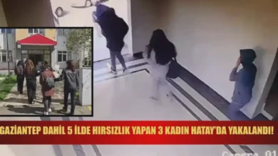 Gaziantep hırsızlık - Gaziantep Hırsızlık: Şebeke Çökertildi