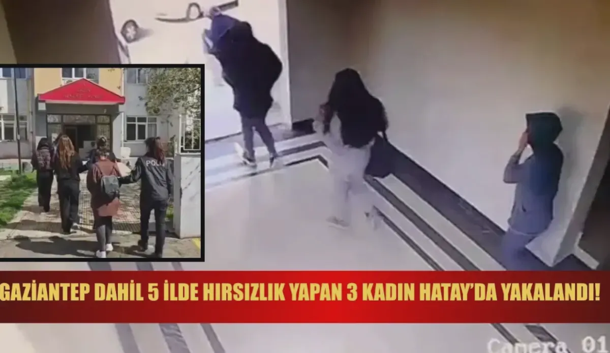 Gaziantep Hırsızlık: Şebeke Çökertildi