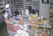 çalıntı araçlı vurgun - Gaziantep'te Çalıntı Araçlı Vurgun: 114 Kayıtlı Şüpheli Y...