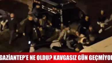 Gaziantep park kavgası - Gaziantep'te Kavga: Park Sorunu Büyüdü