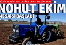 nohut ekimi - Nohut Ekimi Başladı: Bereket Vurgusu