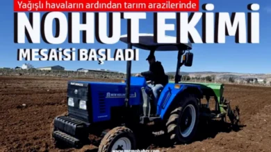 nohut ekimi - Nohut Ekimi Başladı: Bereket Vurgusu