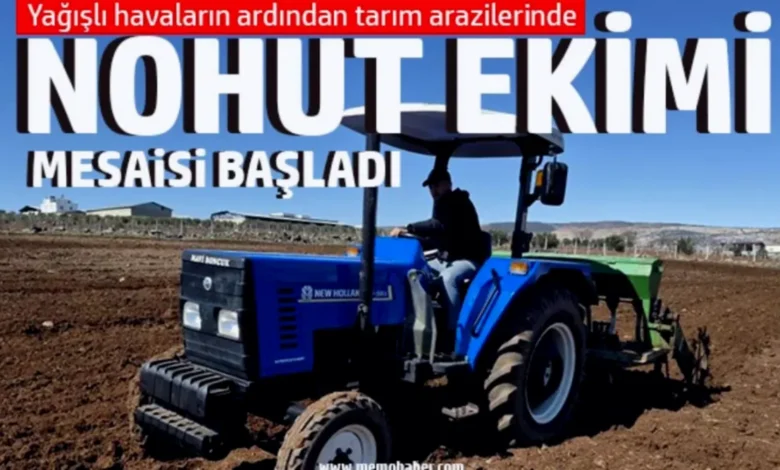 nohut ekimi - Nohut Ekimi Başladı: Bereket Vurgusu
